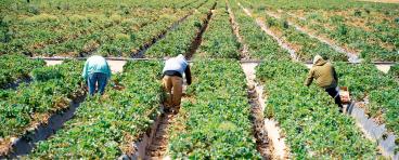 Migrant+Workers