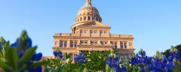 Texas capitol in bloom