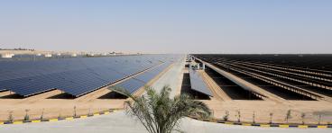 solar panels in desert with palm tree in foreground