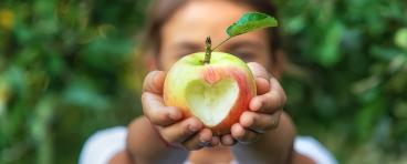 A child eats an apple in the garden.